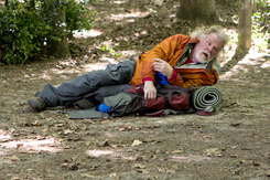 Picknick mit Bären Szenenbild 1